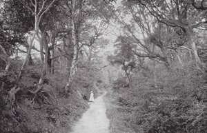 Fairlight Glen - (after) English photographer