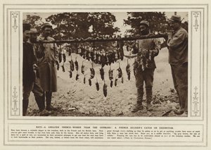 Les rats, une plus grande inquiétude que les Allemands ! La prise d