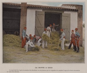 La Botte à Coco