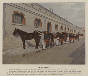 Le Pansage