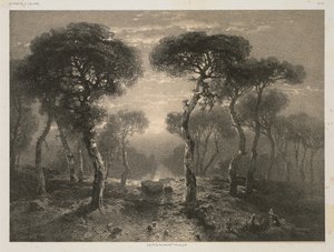 Œuvres de A. Calame, No. 13 : Forêt de Sierre en Valais, 1843 publié 1851
