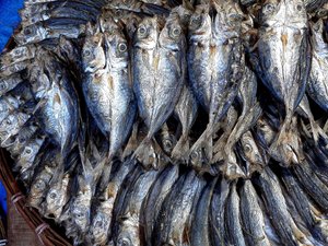Poissons séchés