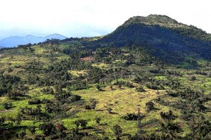 Collines de Cebu