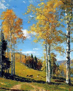 Paysage avec une forêt de bouleaux et un feuillage vibrant - F. Abderrahim