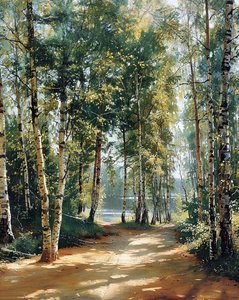 Route sinueuse forêt verte