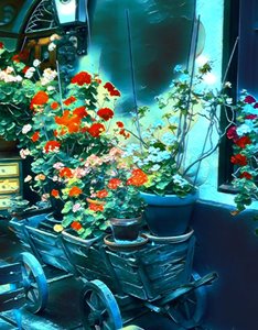 Des fleurs au clair de lune.