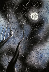 SENSATIONS