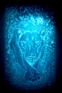 La panthère - bleu - RosaLi