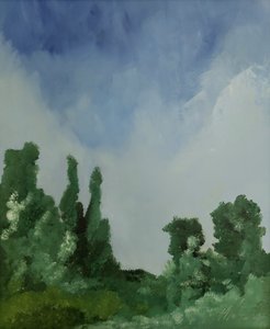 Nuages sur la forêt - M. Vet