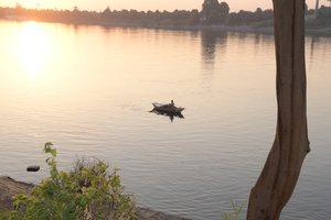 Reflets dorés du coucher de soleil sur une rivière paisible - Albert Mansour
