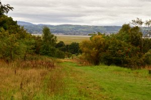 Paysage naturel dans le style de la peinture à l