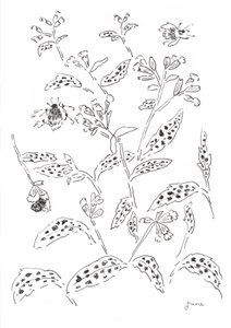 Étude sur les bourdons et les fleurs sauvages - june art