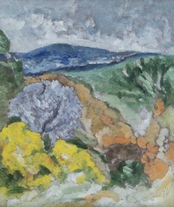 Paysage méditerranéen - M. Vet