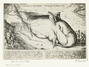Gravure de la baleine échouée à Anvers, 2 juillet 1577