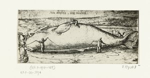 Gravure de la baleine échouée à Anvers, 2 juillet 1577
