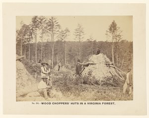N° 181. Cabanes de coupeurs de bois dans une forêt de Virginie.