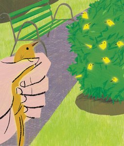Un oiseau dans la main..., 2016
