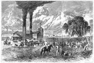 Plantation de sucre, La Nouvelle-Orléans, 1870 - A. R. Ward