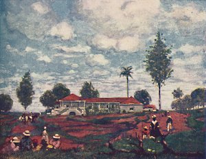 Une Fazenda de Café, 1916
