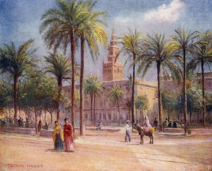 Séville, Plaza de San Fernando
