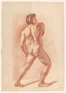 Nu masculin debout, vu de dos