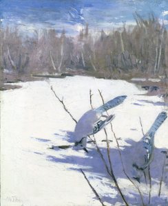 Geais bleus en hiver, étude pour le livre Concealing Coloration in the Animal Kingdom, vers 1905-1909 - Abbott Handerson Thayer