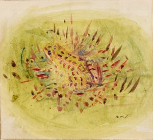 Grenouille, vers 1910-1915 - Abbott Handerson Thayer