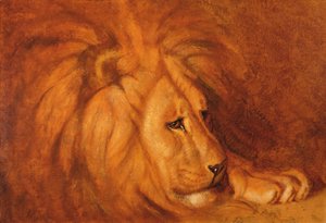 Lion au repos