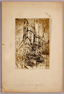 Photo d