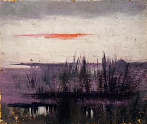 Le ciel simulé par des flamants blancs étude pour livre..., dans le Royaume Animal, vers 1905-1909 - Abbott Handerson Thayer