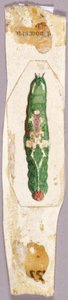 Chenille du bord de la feuille de bouleau blanc, étude pour le livre Coloration dissimulatrice dans le règne animal - Abbott Handerson Thayer