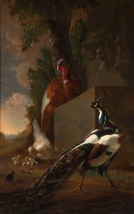 Un paon, une dinde et une poule avec ses poussins près d
