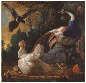 Un paon, des volailles et une pie dans un paysage, 1720 - Abraham Bisschop