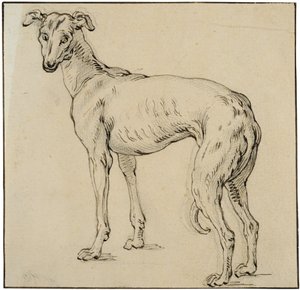 Greyhound - Abraham Bloemaert
