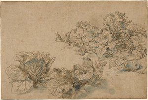 Études sur une plante à moelle et sur les choux - Abraham Bloemaert