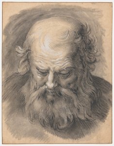 Étude de la tête d