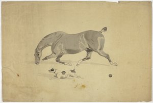 Cheval et chien en course - Abraham Cooper