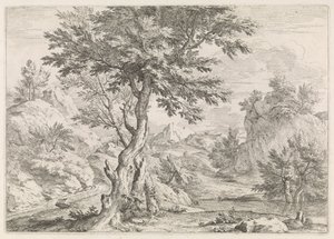 Paysage vallonné avec des rochers - Abraham Genoels