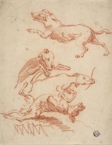Esquisses de chiens en train de jouer - Abraham Hondius