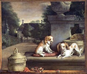 Deux chiens dans un parc