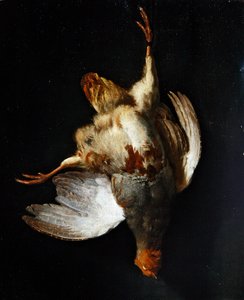 Nature morte avec une perdrix suspendue à un clou