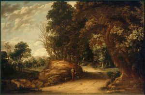 Paysage boisé avec randonneurs au repos