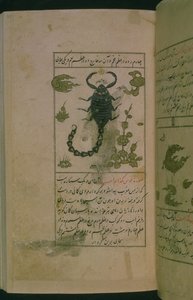 Constellations du zodiaque : Scorpion, le scorpion, de Talim dar marifat i taqvuim, 1498 (903 Hijra) - Abu Jafar al Tabari