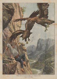 Chasse audacieuse à un nid d