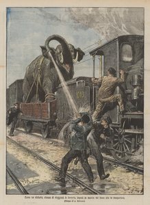 Comme un éléphant, fatigué de voyager en train, a empêché la marche du train qui le transportait