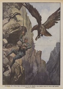 Garde-chasse à Varese Ligure attaquant un nid d