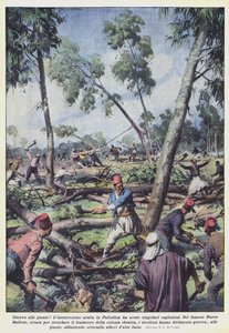 Guerre aux plantes! - Achille Beltrame