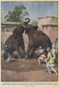 Le duel le plus étrange - Achille Beltrame