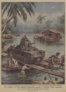 Dans les forêts de Sumatra