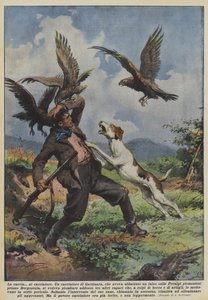 La chasse au chasseur